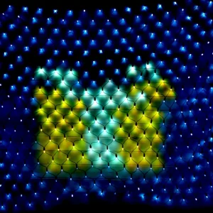 2X2M Lysnett IP44 Smart LED multifarge og animasjon m/