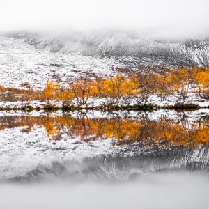 Midt mellom høst og vinter