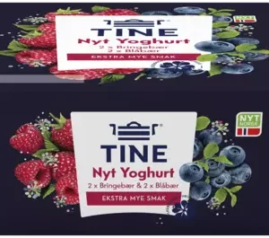 YOGHURT NYT BLÅBÆR&BRINGEBÆR 4X125G TINE