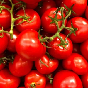 CHERRYTOMAT 250G PK (V)